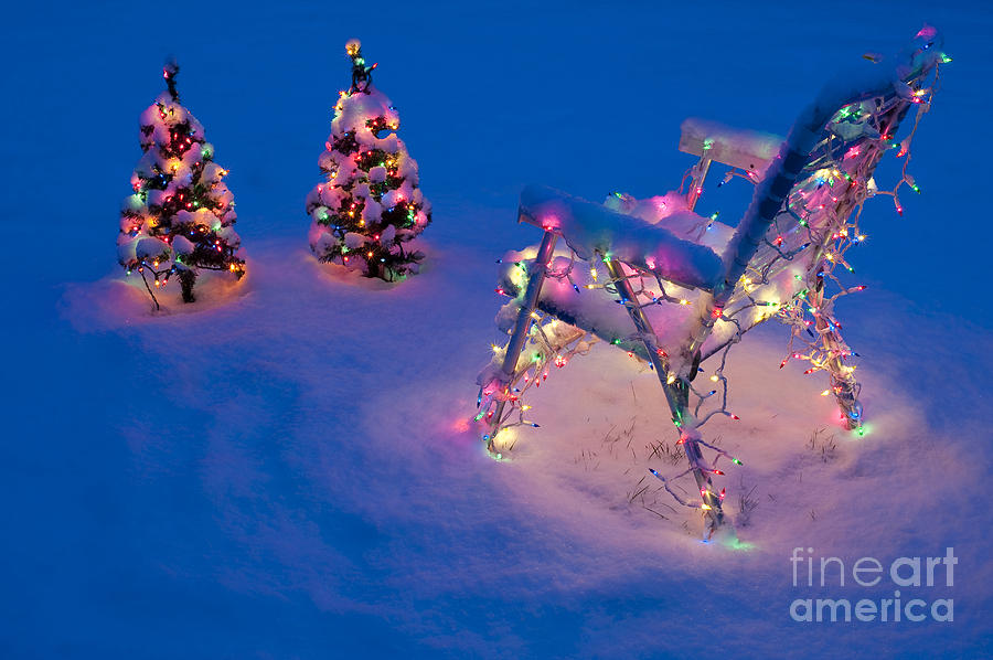 Christmas Lights on Trees and Lawn Chair #5 Photograph by Jim Corwin
