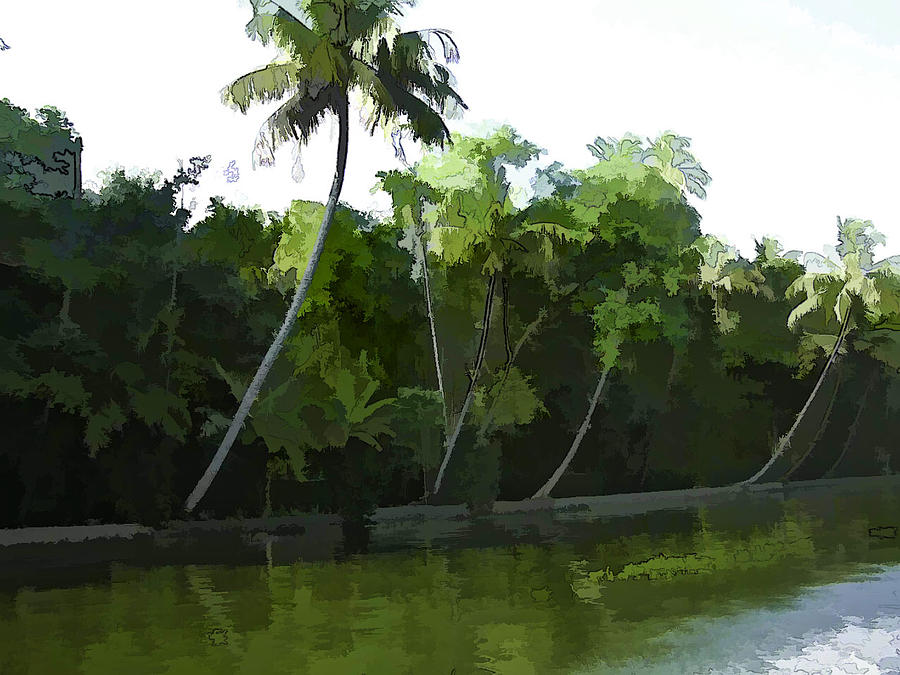 Coconut trees and other plants in a creek #4 Digital Art by Ashish Agarwal
