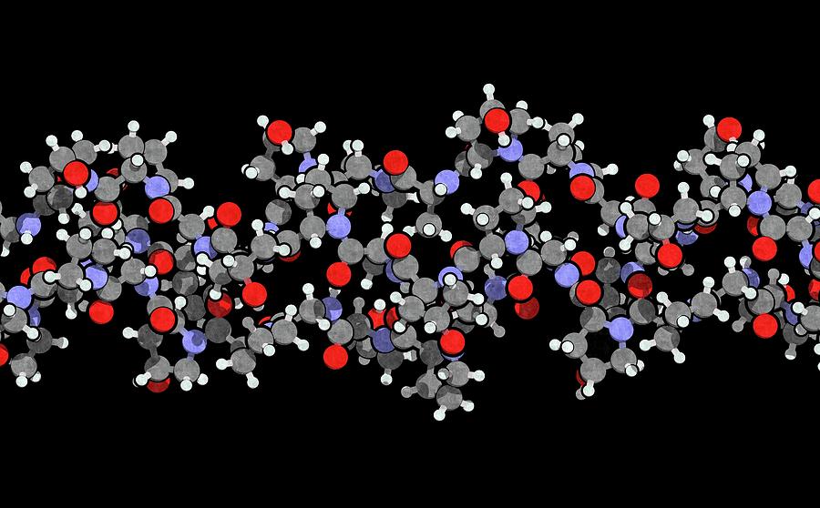 Collagen Protein Molecule Photograph By Molekuul Science Photo Library