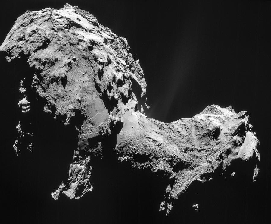 Comet 67pchuryumov-gerasimenko #4 Photograph by Science Source