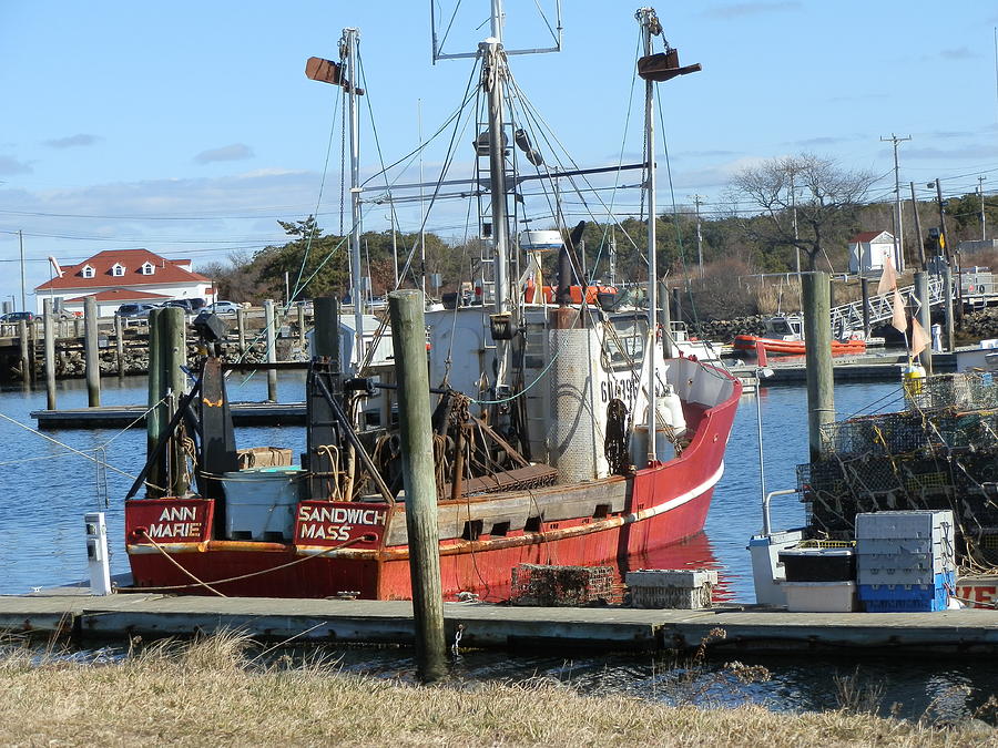 Tree Photograph - Commercial Fishing Boat #4 by Valerie Bruno
