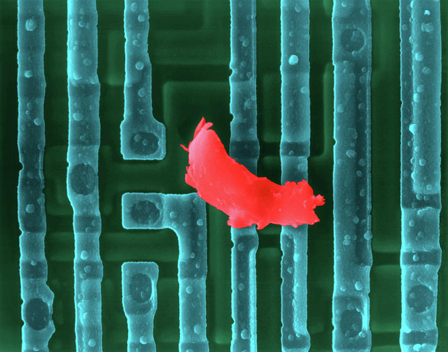 Computer Chip With Dirt #4 Photograph by Science Photo Library Computer Chip With Dirt #4 Photograph by Science Photo Library