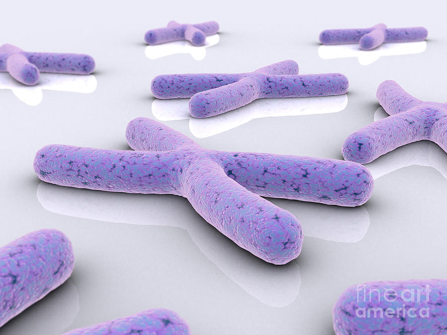 Conceptual Image Of Chromosome Digital Art