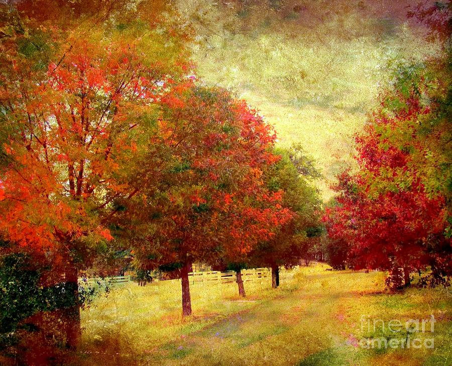 Fall Digital Art - Country Road #4 by Irina Hays
