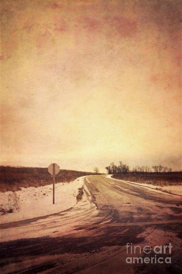 Country Road #4 Photograph by Jill Battaglia