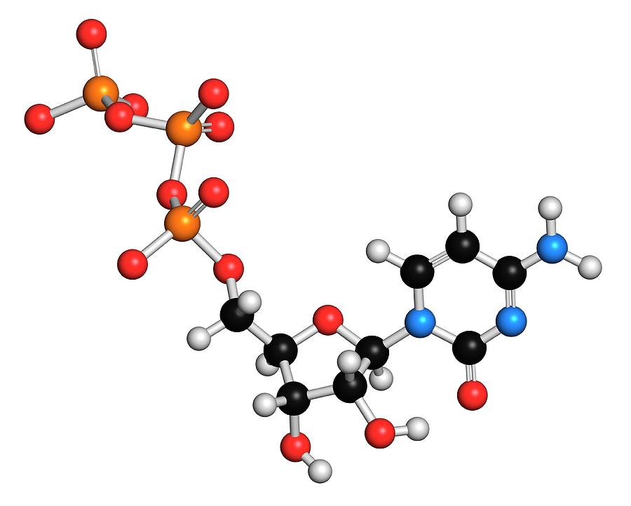 Cytidine Photograph - Cytidine Triphosphate Molecule #4 by Molekuul