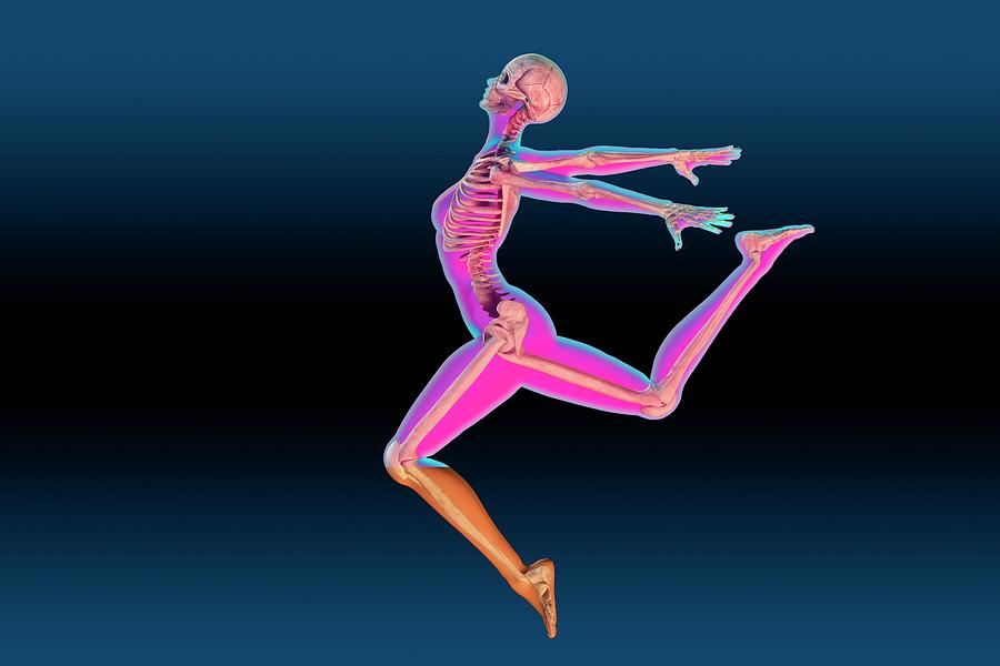 Skeleton Photograph - Dancers Skeleton #4 by Carol & Mike Werner