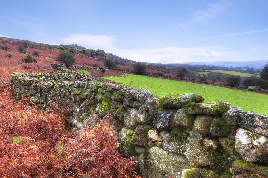 Landscape Photograph - Dartmoor #4 by Joana Kruse