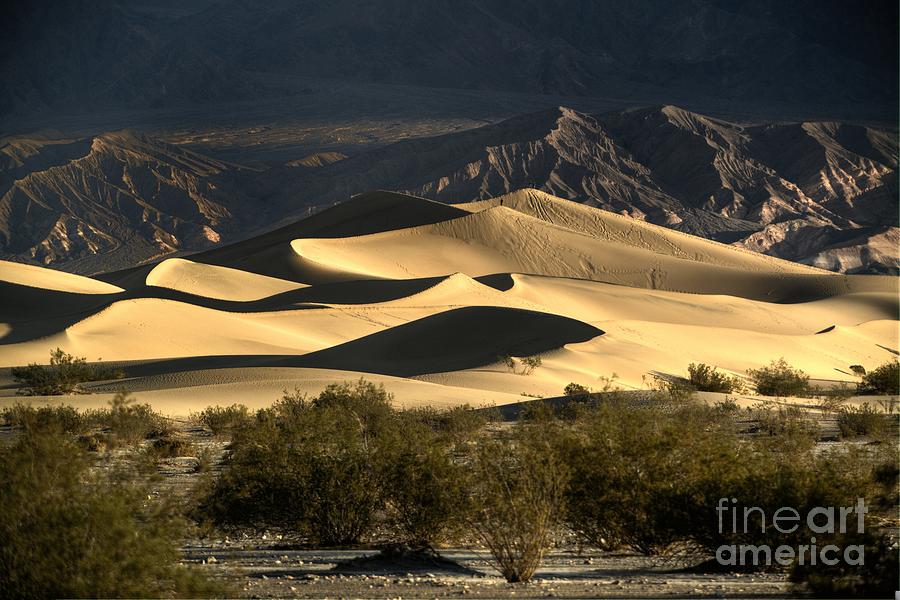 Death Valley #4 Photograph by Marc Bittan