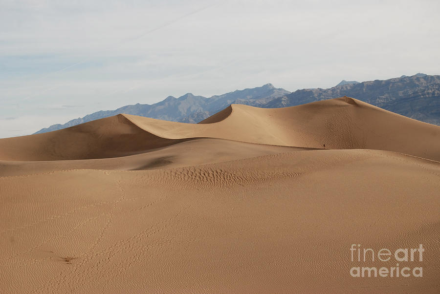 Death Valley National Park Digital Art - Death Valley National Park Mesquite Flat Sand Dunes #4 by Eva Kaufman