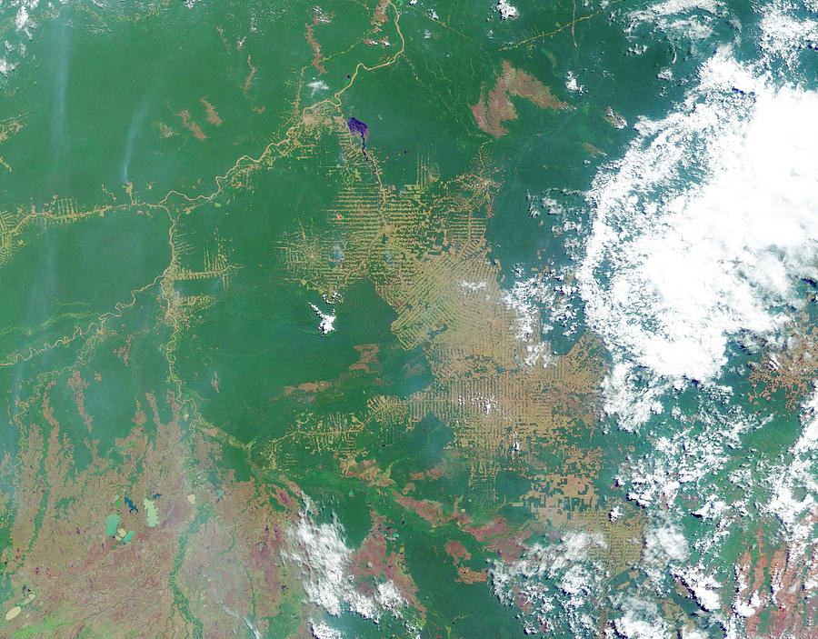 Deforestation In The Amazon #4 Photograph by Nasa Earth Observatory