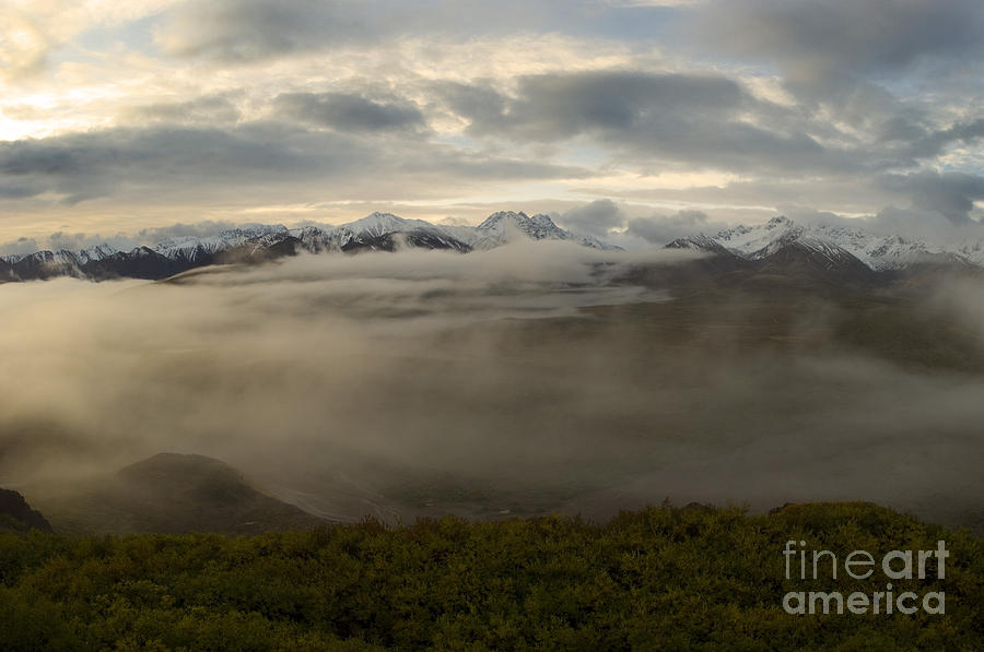 Denali National Park, Alaska #4 Photograph by Ron Sanford