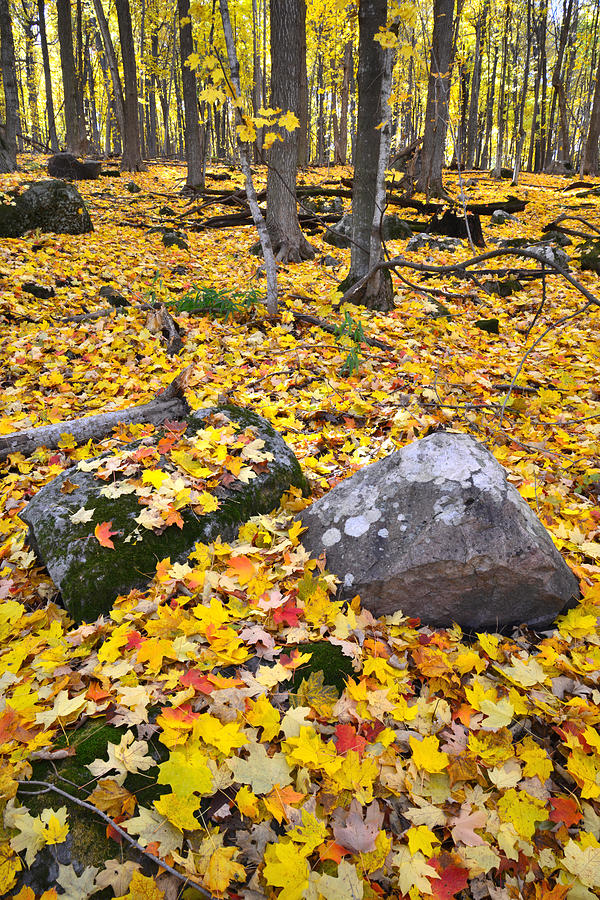 Devil’s Lake Fall Color Photograph by Ray Mathis