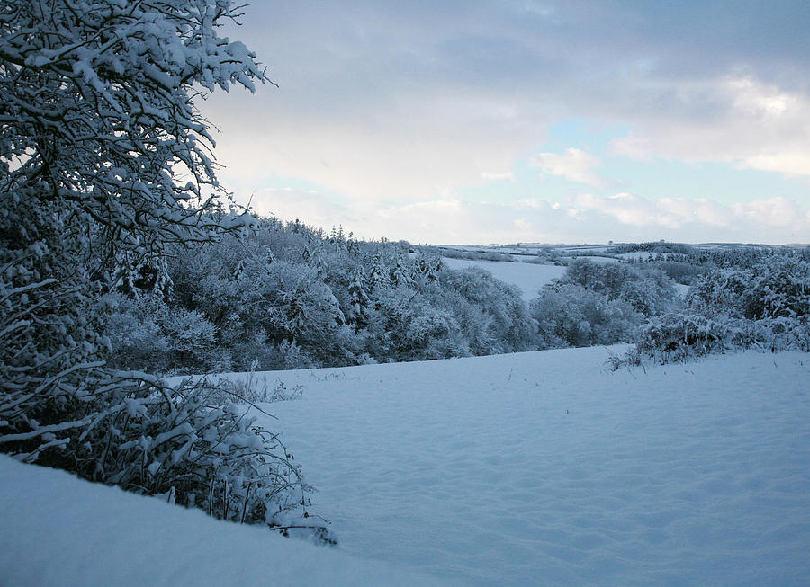 Tree Photograph - Devon Snow Scene #4 by Jonathan Hall
