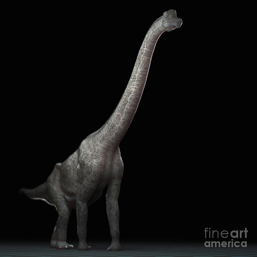 brachio dinosaur