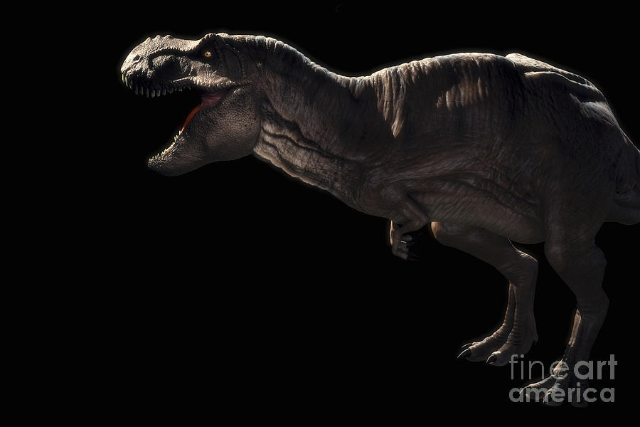 Dinosaur Tyrannosaurus #4 Photograph by Science Picture Co