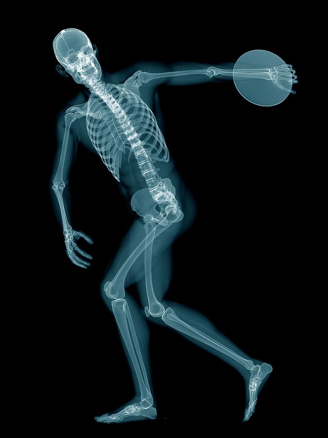 Athlete Photograph - Discus Throwers Skeletal System #4 by Sebastian Kaulitzki/science Photo Library