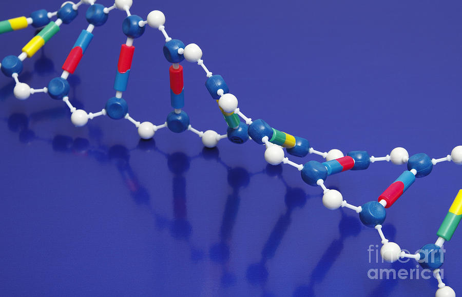 Dna Double Helix #4 Photograph by GIPhotoStock