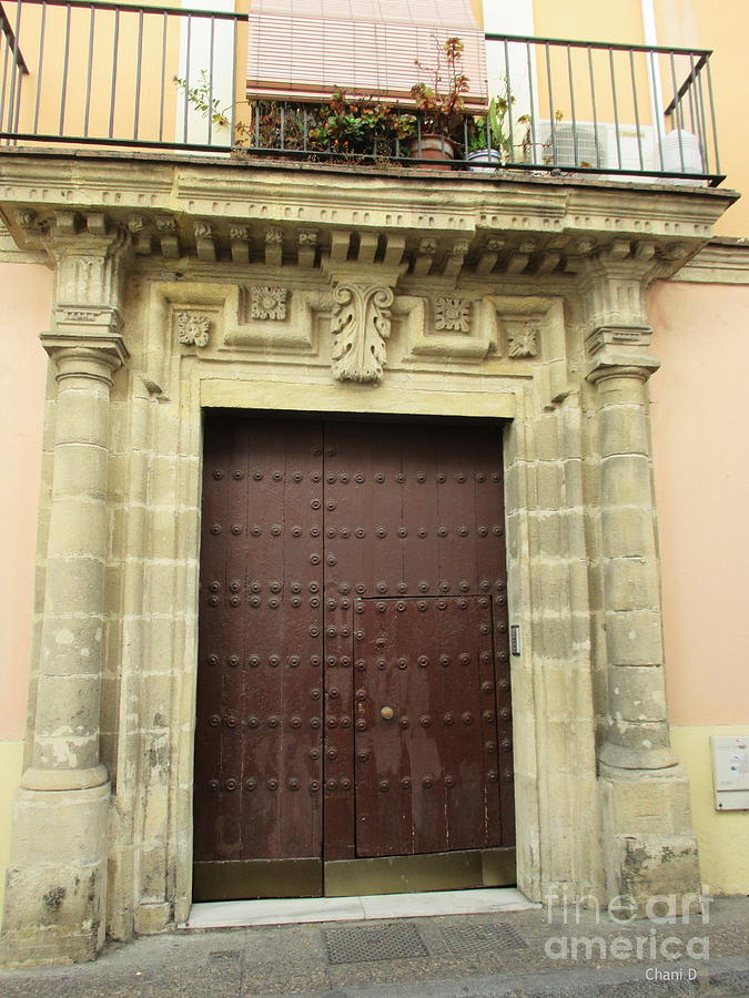 Door in Jerez #6 Photograph by Chani Demuijlder