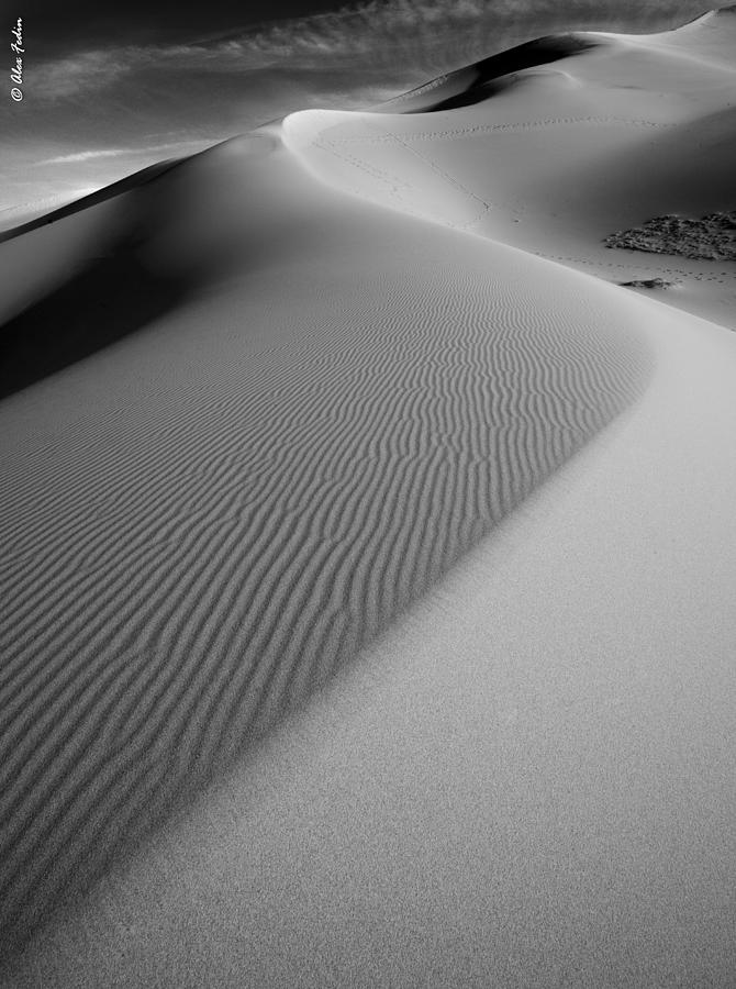 Dunes #4 Photograph by Alexander Fedin