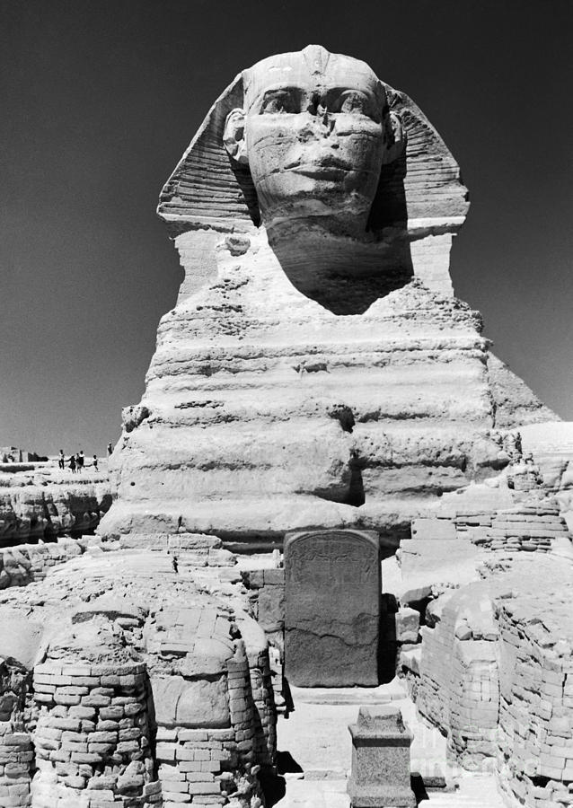 Egypt: Great Sphinx #4 Photograph by Granger