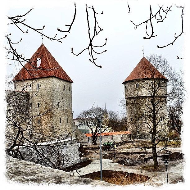 Estonia Photograph - End Of The Road. The Final Country On #4 by Richard Randall