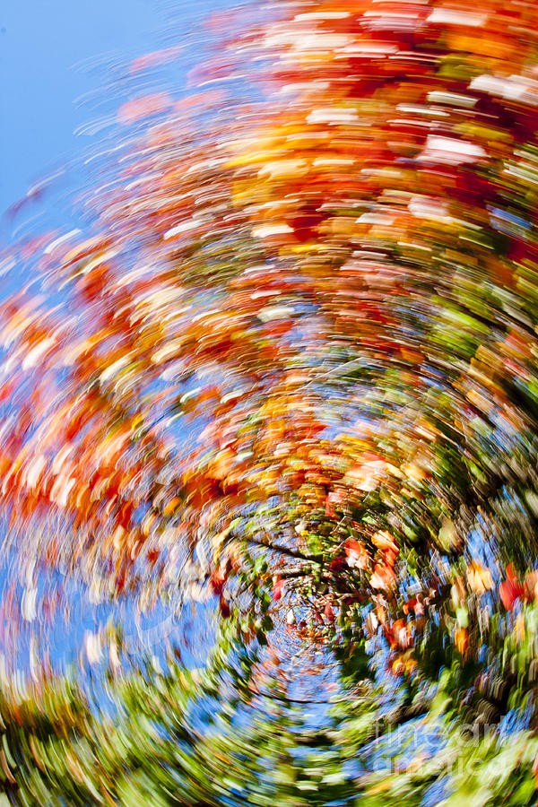 Fall Abstract #4 Photograph by Steven Ralser