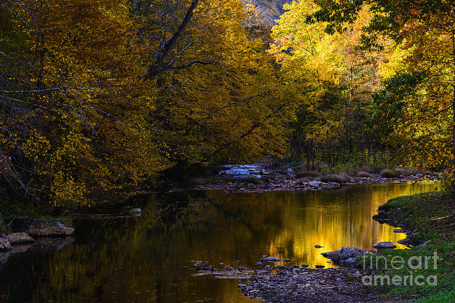 Fall Photograph - Fall Color Gauley River Headwaters #4 by Thomas R Fletcher