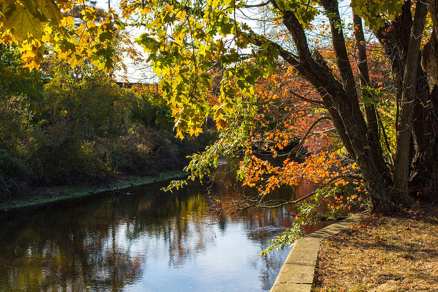Fall Foliage at Nissequogue River #4 Photograph by Susan Jensen