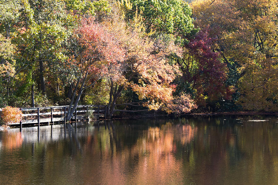 Fall Foliage at Twin Ponds  #4 Photograph by Susan Jensen