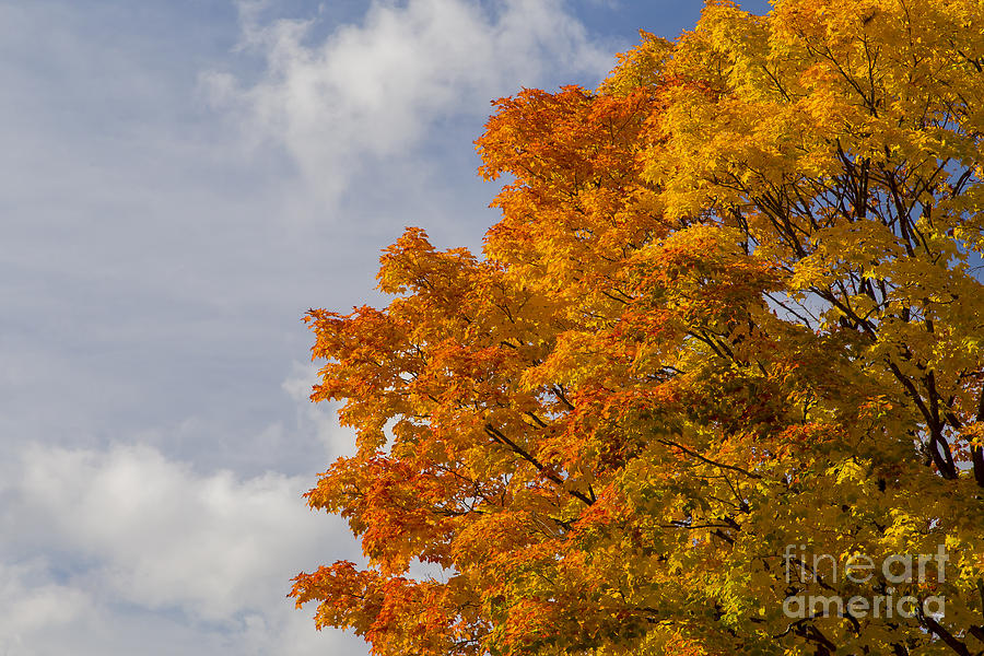 Fall Photograph - Fall in Door County #4 by Twenty Two North Photography