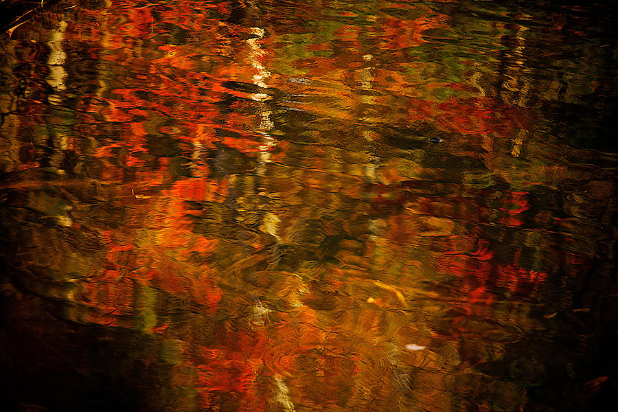 Fall Reflections #4 Photograph by Prince Andre Faubert
