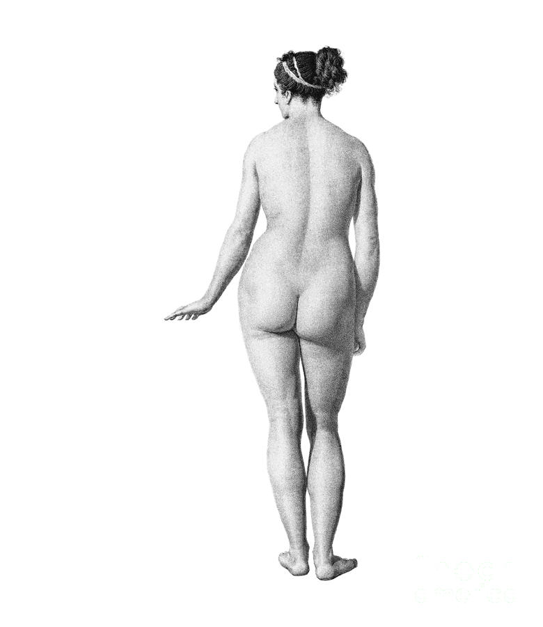 Artwork of Female Nude Photograph by Mehau Kulyk