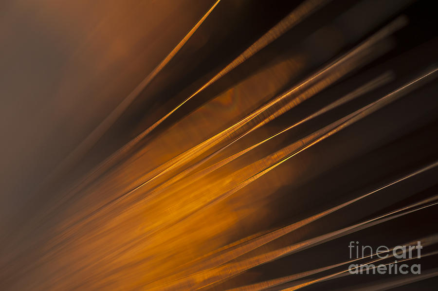 Fiber Optics close-up abstract #4 Photograph by Jim Corwin