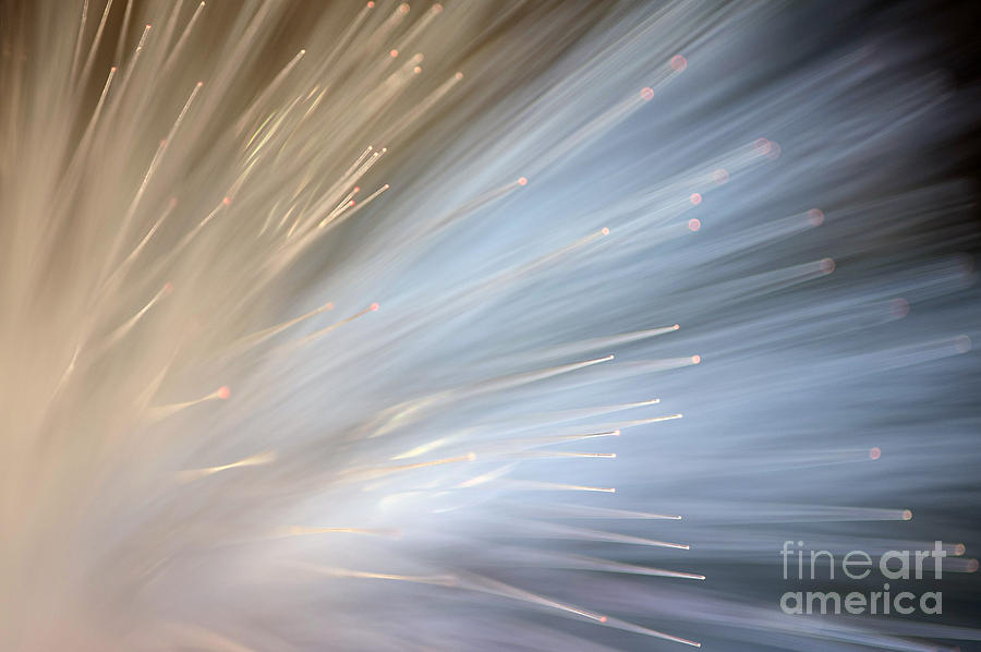 Fiber Optics #4 Photograph by Jim Corwin