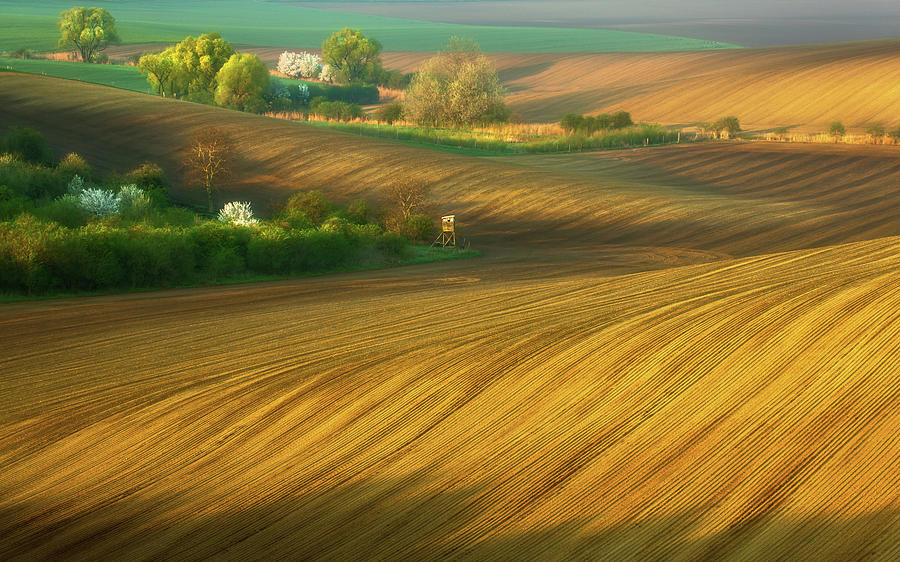 Fields... #4 Photograph by Krzysztof Browko