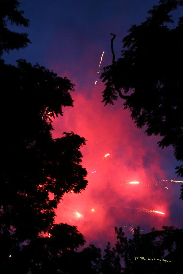 Fireworks Forest #4 Photograph by R B Harper
