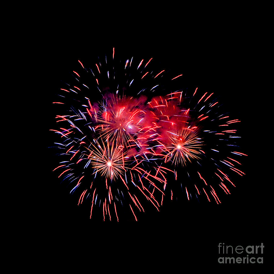 Fireworks #4 Photograph by Grace Grogan