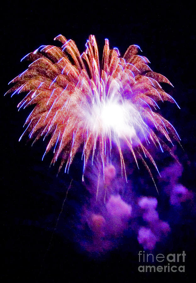 Fourth Of July Photograph - Fireworks #4 by Tim Holt