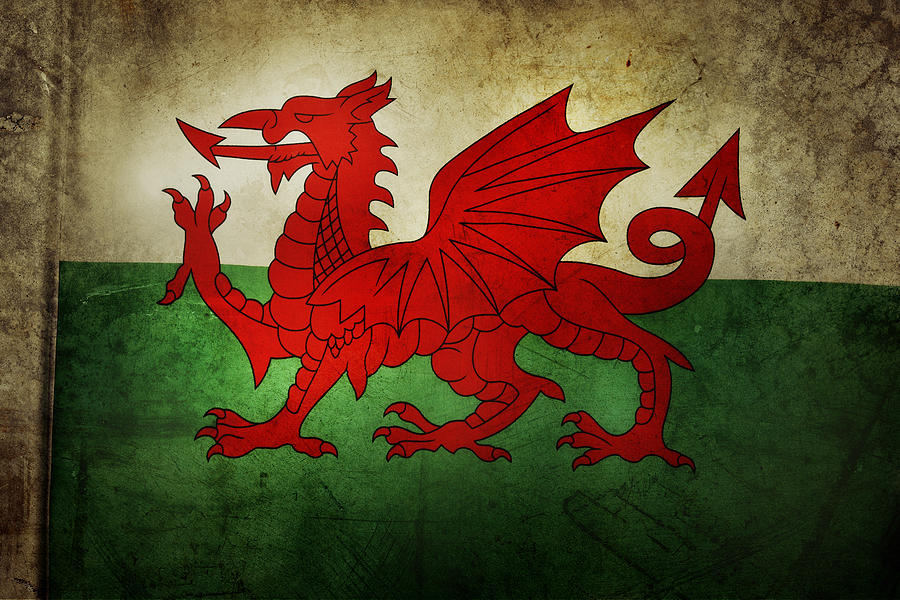 Flag Photograph - Welsh flag #2 by Les Cunliffe