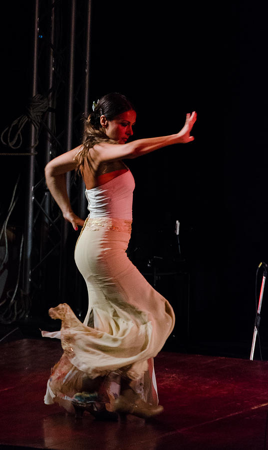 Flamenco #4 Photograph by AM FineArtPrints