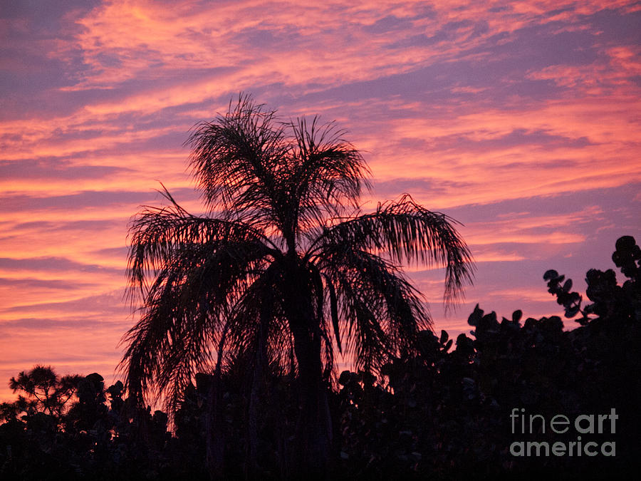 Sunset Photograph - Florida Sunset #4 by Allan  Hughes