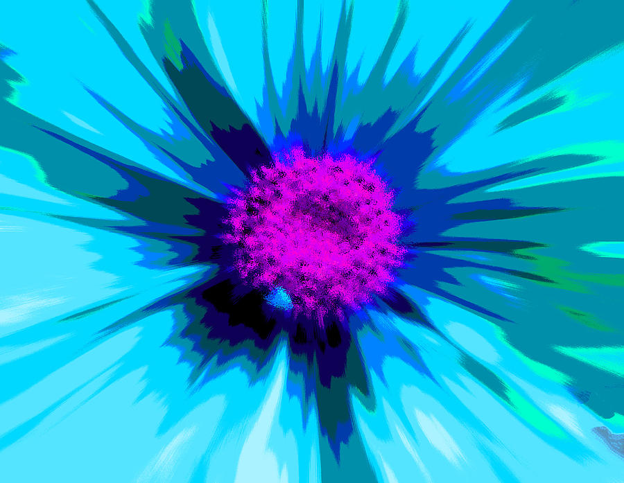 Flower Explosion Colour #4 Photograph by David French