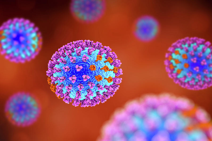 Flu Viruses Photograph By Kateryna Kon Science Photo Library - Fine Art 