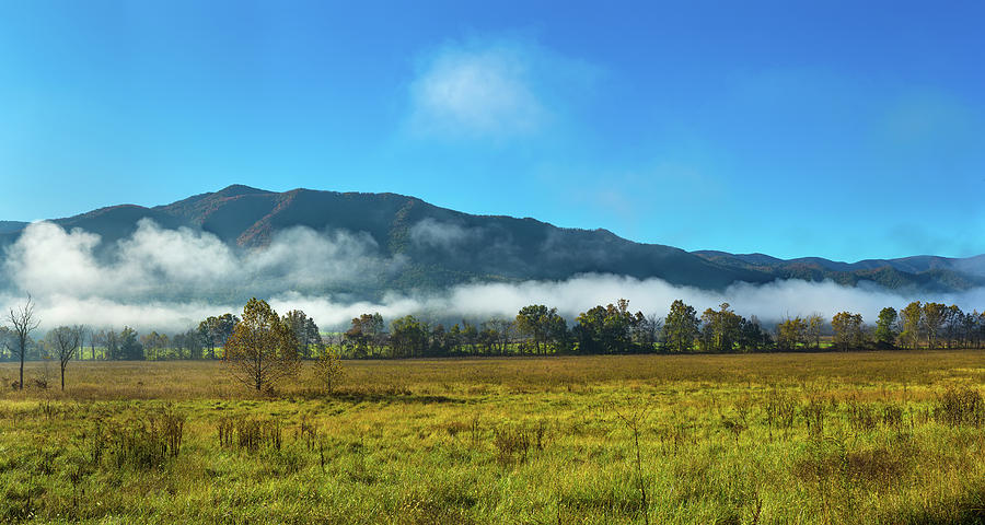 Nature Photograph - Fog Over Mountain, Cades Cove, Great #4 by Panoramic Images