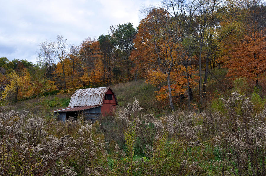 Fountain County Indiana Photograph by Marsha Williamson Mohr