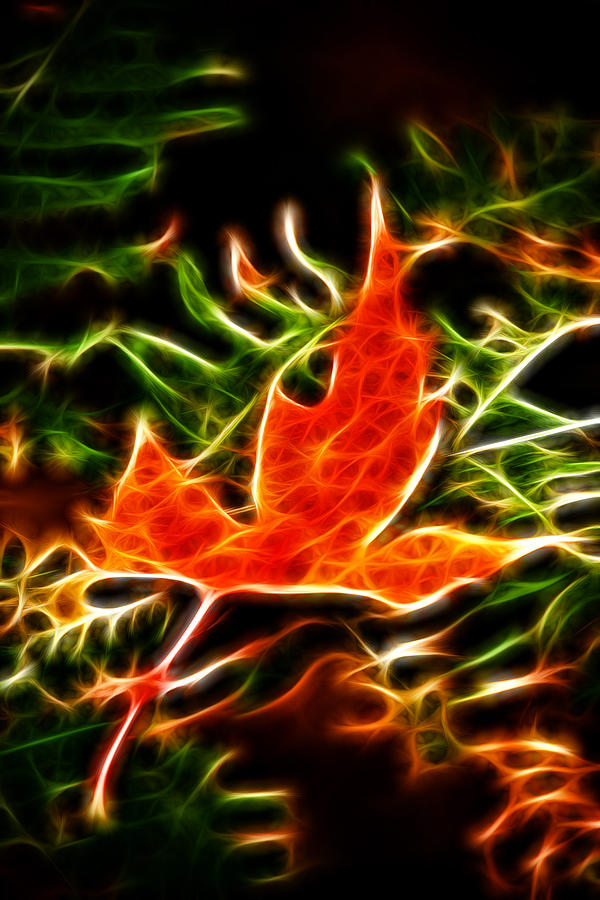 Nature Photograph - Fractal Maple leaf #4 by Prince Andre Faubert