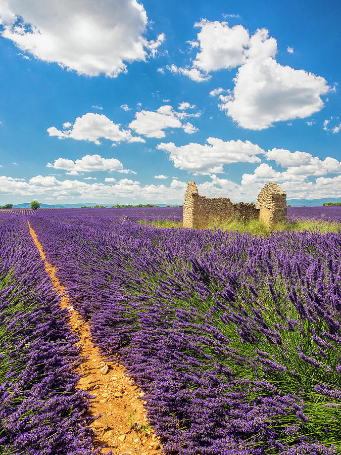 France, Provence, Old Farm House Photograph by Terry Eggers - Pixels