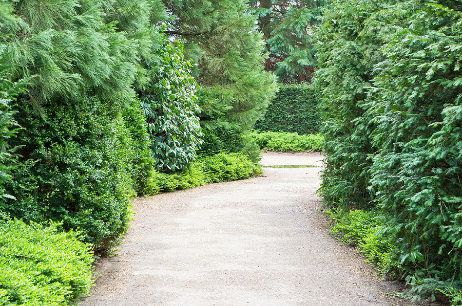 Garden path Photograph by Tom Gowanlock - Fine Art America