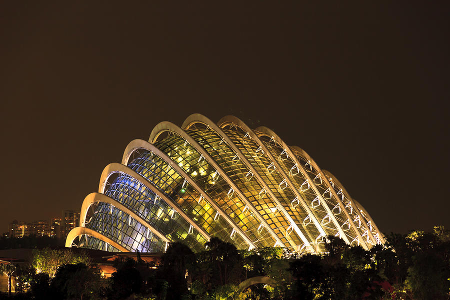 Architecture Photograph - Gardens By The Bay Singapore #4 by Henry MM